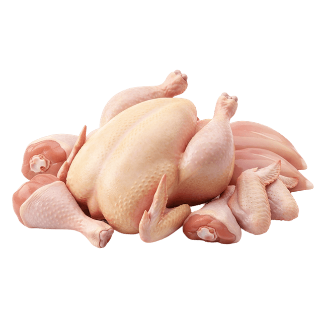 منتجات الدواجن